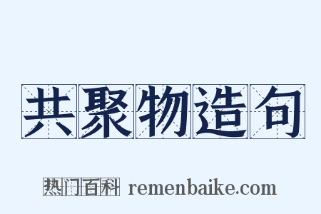 共聚物造句是什么意思的图片